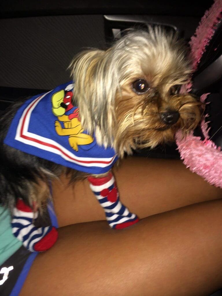 My mom likes dressing me up, me, not so much