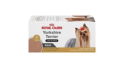 Royal canin yorkshire hotsell terrier loaf in sauce