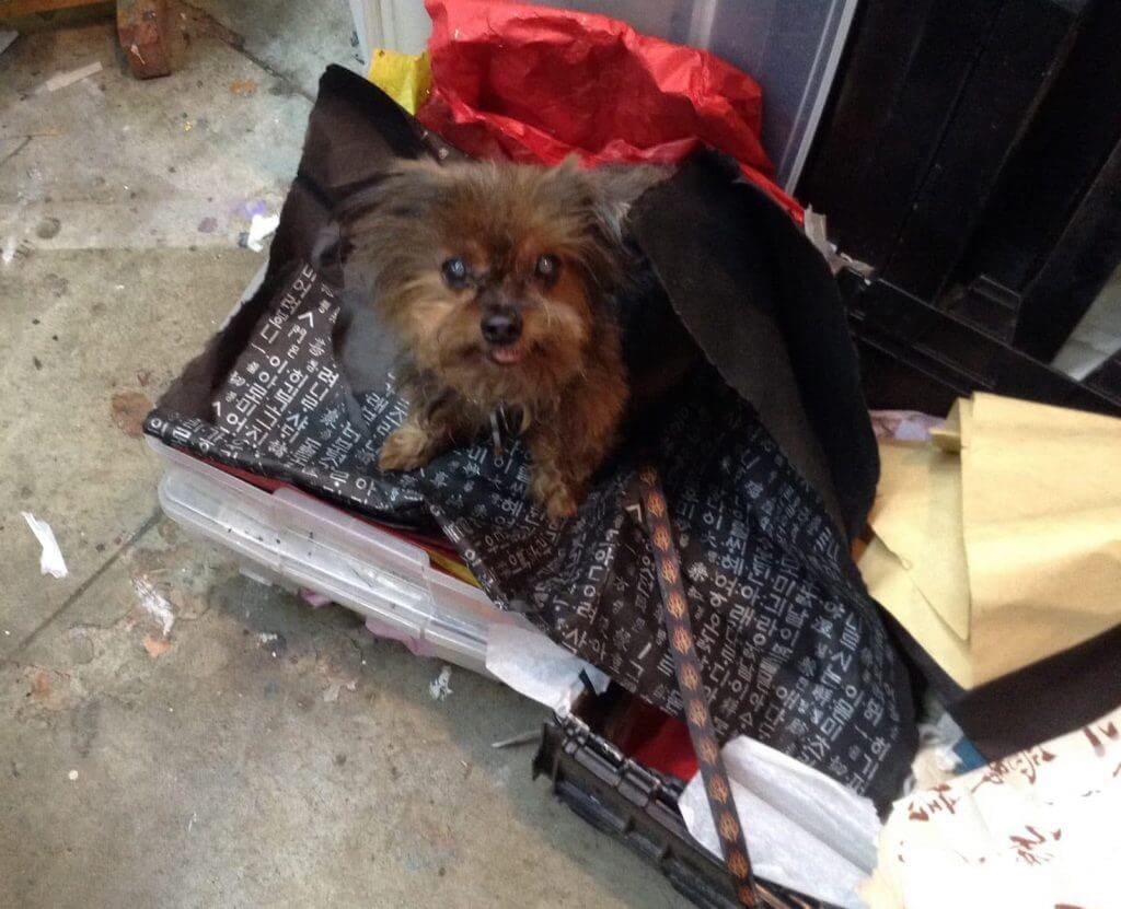 Baby Misha getting crafty.