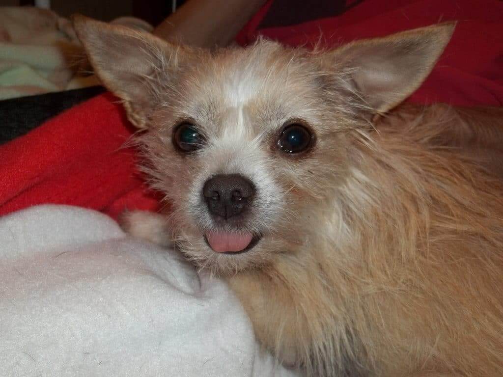 BABY NIKKI LOVES SHOWING HER BITTY TONGUE...