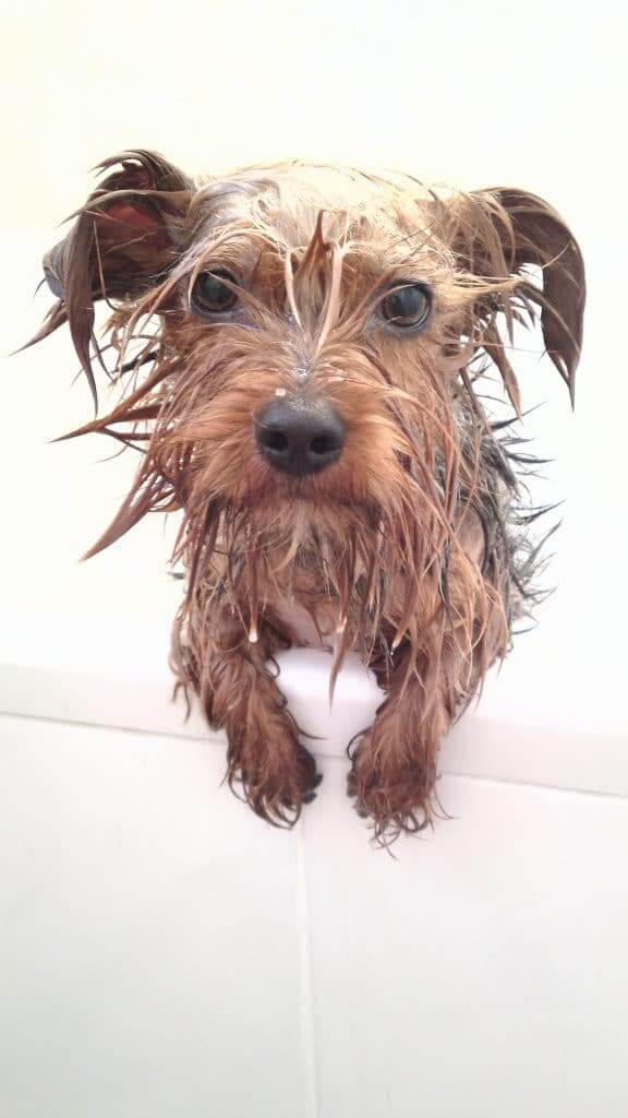 I hate baths!