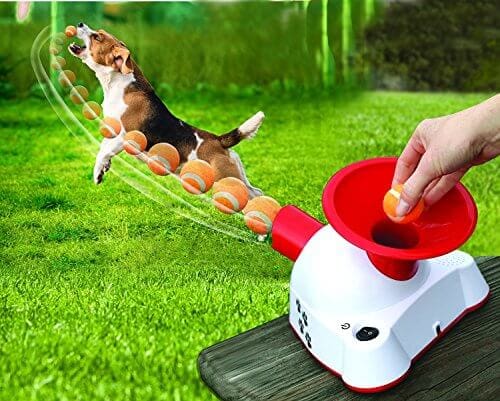 automatic dog toy thrower