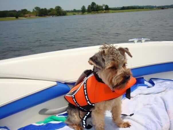 Life is good.....#lakelife