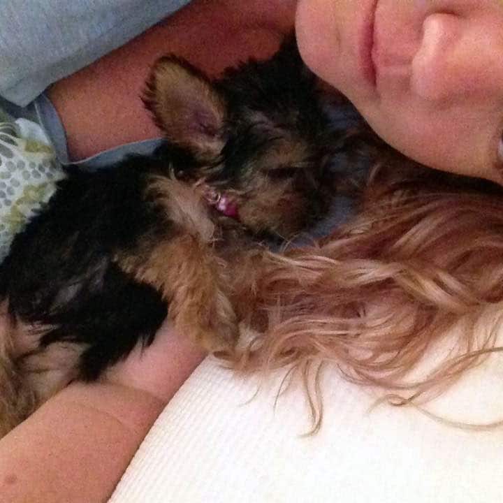 Babybella